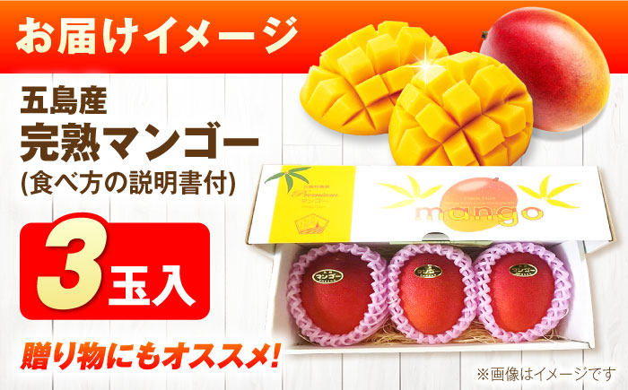 【先行予約】栄養満点 五島産完熟マンゴー (3玉入) 五島市/HPIファーム [PCP001]