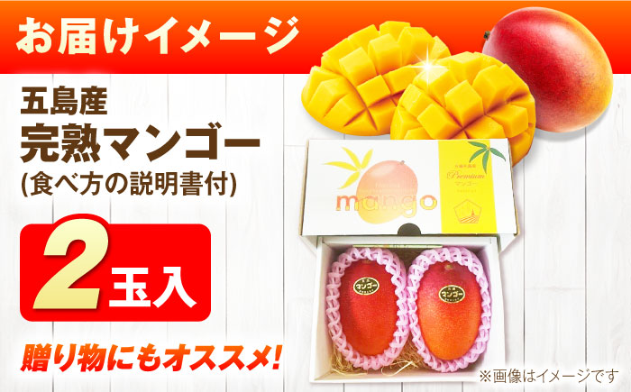 【先行予約】栄養満点 五島産完熟マンゴー (2玉入)五島市/HPIファーム [PCP002]