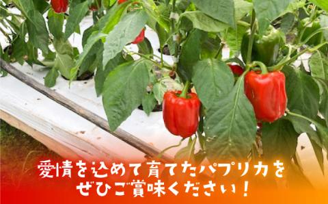【肉厚ジューシー】五島のパプリカ 約2.7kg 五島市/HPIファーム [PCP003]