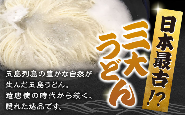 【12回定期便】椿うどん10袋セット 五島市/中本製麺[PCR015]  保存食 椿 五島 うどん 手延べ