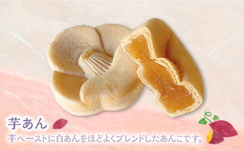 椿もなか 2種詰め合わせ 白あん 梅肉 芋 常温 和菓子 スイーツ 五島市 / 雲泉堂 [PDA001]