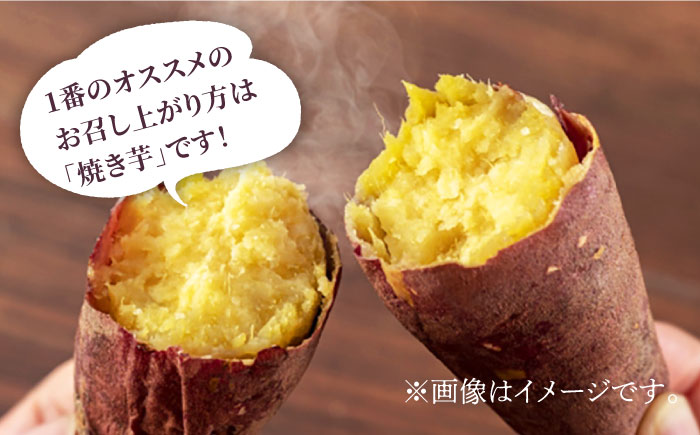 五島産生芋10kg 安納芋 シルクスイート 紅はるか ふくむらさき いも  和菓子 スイーツ 五島市/芋蔵林 [PDO008]