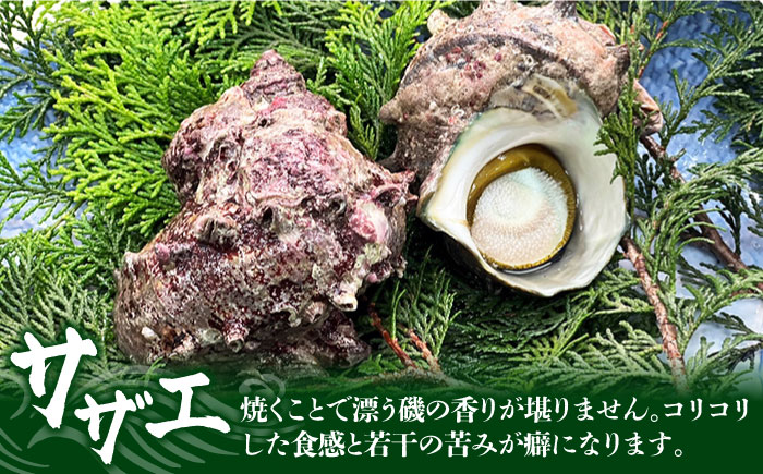 【鮮魚！エビイカ！サザエ！肉】五島を味わう海鮮BBQセット（海水塩 五島灘のめぐみ【焼塩】付）五島市/鯛福丸水産[PDP010]    海鮮 えび いか さざえ BBQ セット 魚 牛肉 豚肉