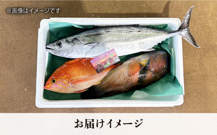 【五島列島直送】朝獲れ鮮魚セット4kg　鯛福丸水産/五島市[PDP011]   魚 鮮魚 セット 海鮮 直送 さかな 詰合せ 冷蔵