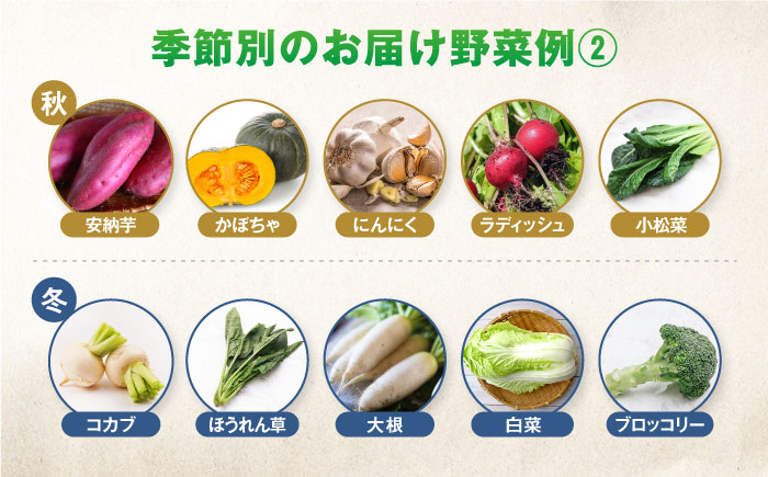 【一人暮らしに】有機農法・旬の野菜詰め合わせ 野菜セット 五島市/ぷらっと農園 [PDS005]