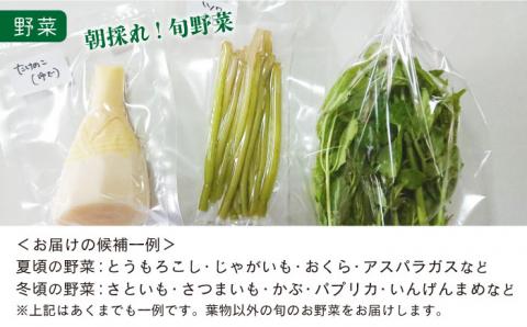 五島よかとこ便 特選鮮魚入り 野菜 加工品 おまかせ お楽しみ セット 五島市/GOTO Challenged 椿 [PDU002]
