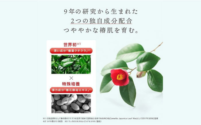 【リボン付き】五島の椿 3点セットギフトBOX スキンケア 美容 保湿 五島市/五島の椿 [PEG034]