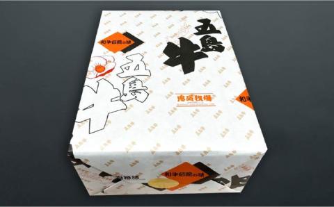 【日時指定必須】五島牛特上 サーロイン400g-500g＆ヒレステーキ120g×2枚（ソース付） 五島市/鬼岳牧場[PEK002] 国産牛 牛肉 ブランド牛 セット