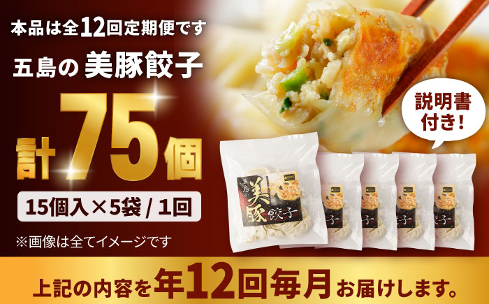 【12回定期便】美豚餃子75個（15個×5袋） 五島市/長崎フードサービス[PEL012]  冷凍 餃子 飲茶 中華 ぎょうざ ギョウザ