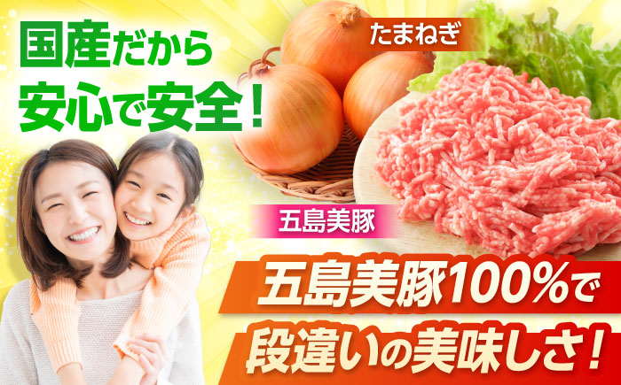 7日程度発送）五島美豚プレミアムハンバーグ5個 五島市/長崎フードサービス[PEL037]  ハンバーグ 手作り 手ごね 冷凍 肉 豚 豚肉 国産 スピード 最短 最速 発送
