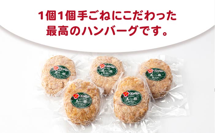 【12回定期便】五島美豚プレミアムハンバーグ5個 五島市/長崎フードサービス[PEL042]  ハンバーグ 手作り  肉 豚 豚肉 国産