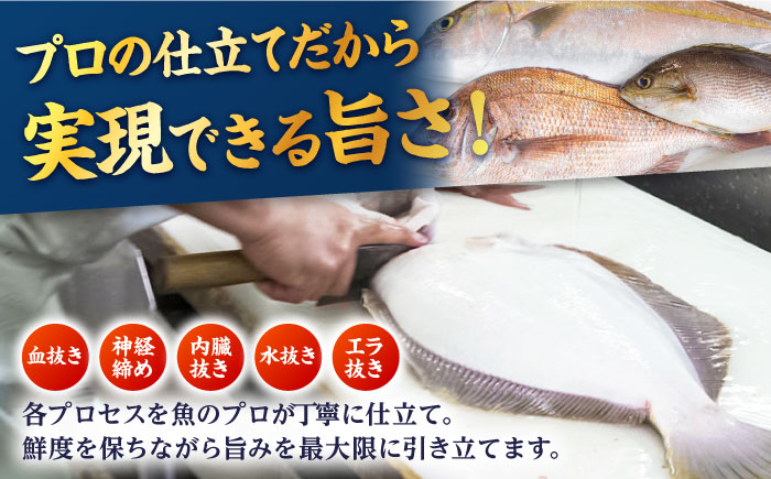 【冷蔵】【下処理済】鮮魚ボックス（魚1種/アオリイカ）五島市/金沢鮮魚[PEP001] 金澤仕立て  鮮魚 冷蔵 真空パック 新鮮 下処理済み 海鮮 刺身 セット 水いか