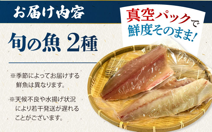 【冷蔵】【下処理済】鮮魚ボックス2種 五島市/金沢鮮魚[PEP006] 金澤仕立て  鮮魚 冷蔵 真空パック 新鮮 下処理済み 海鮮 刺身 セット