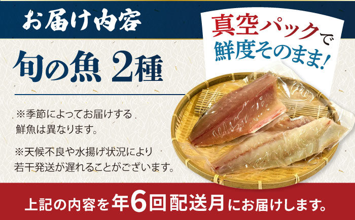 【6回定期便】【冷蔵】【下処理済】鮮魚ボックス2種 五島市/金沢鮮魚[PEP010] 金澤仕立て  鮮魚 冷蔵 真空パック 新鮮 下処理済み 海鮮 刺身 セット