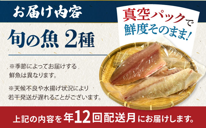 【12回定期便】【冷蔵】【下処理済】鮮魚ボックス2種 五島市/金沢鮮魚[PEP011] 金澤仕立て  鮮魚 冷蔵 真空パック 新鮮 下処理済み 海鮮 刺身 セット