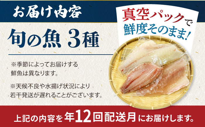 【12回定期便】【冷蔵】【下処理済】鮮魚ボックス3種 五島市/金沢鮮魚[PEP014] 金澤仕立て  鮮魚 冷蔵 真空パック 新鮮 下処理済み 海鮮 刺身 セット