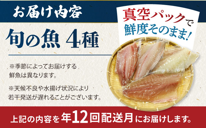 【12回定期便】【冷蔵】【下処理済】鮮魚ボックス4種 五島市/金沢鮮魚[PEP017] 金澤仕立て  鮮魚 冷蔵 真空パック 新鮮 下処理済み 海鮮 刺身 セット