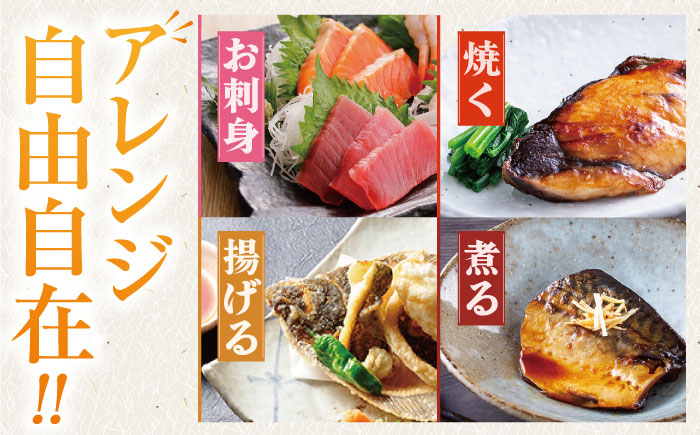 【下処理済】超速冷凍鮮魚5種 五島市 / 金沢鮮魚[PEP018]  柵 冷蔵 真空パック 新鮮 下処理済み 海鮮 刺身 セット さしみ お刺身 おさしみ お刺し身 鮮魚 魚魚 鮮魚 鮮魚ボックス