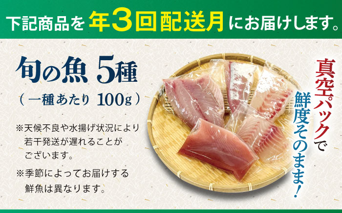 【3回定期便】【下処理済】超速冷凍鮮魚5種 五島市 / 金沢鮮魚[PEP019]