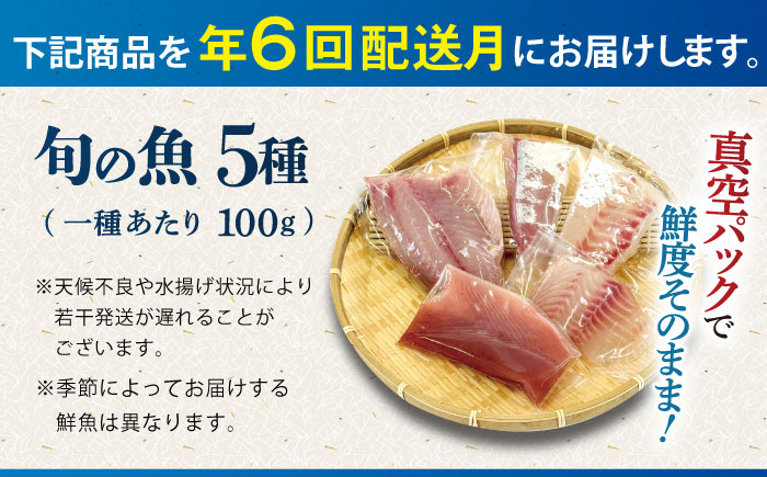 【6回定期便】【下処理済】超速冷凍鮮魚5種 五島市 / 金沢鮮魚[PEP020]