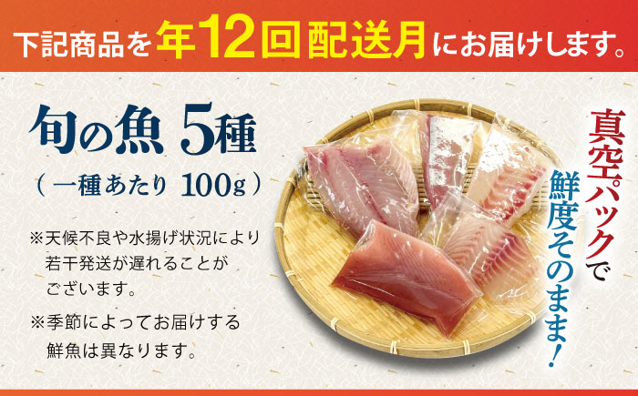 【12回定期便】【下処理済】超速冷凍鮮魚5種 五島市 / 金沢鮮魚[PEP021]