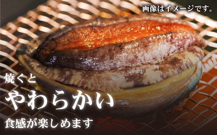 【日付指定必須】【エリア限定】【数量限定】五島産養殖活アワビ6個 小サイズ あわび 鮑 五島市/都工業 [PEX002]
