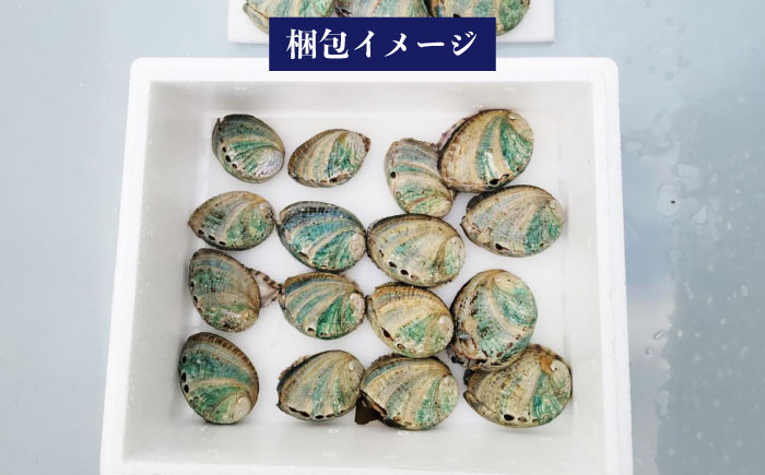 【日付指定必須】五島産養殖 アワビ・バーベキューセット 40個セット 約1200g 五島市/（有）都工業 BBQ あわび 鮑 [PEX008]