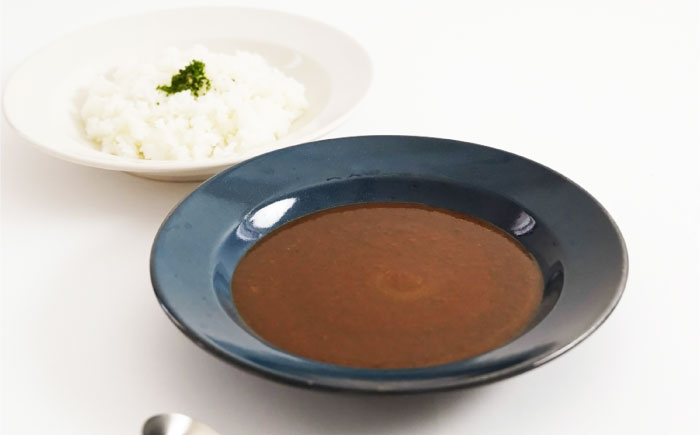五島列島所製麺所カレー 10個 五島市/株式会社Factory カレー カレーライス レトルトカレー [PFN021]