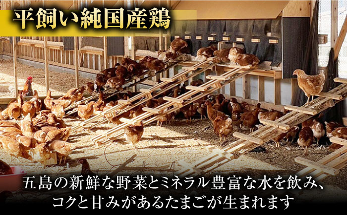 【箱入り】平飼たまご ファイブエッグ M～Lサイズ 150個 / 5EGG 卵 赤玉子五島市 / 五島列島大石養鶏場 [PFQ010]