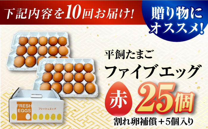 【10回定期便】【箱入り】平飼たまご ファイブエッグ M～Lサイズ 25個 / 5EGG 卵 赤玉子 五島市 / 五島列島大石養鶏場 [PFQ041]
