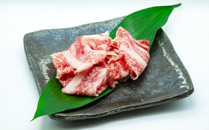 五島列島産 黒毛和牛 こま切れ 500g 五島市/山口Farm [PGJ021]