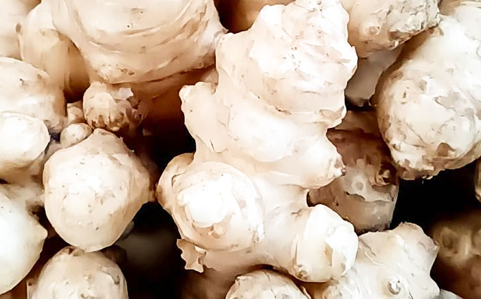 生キクイモ（菊芋）2kg 五島市/五島列島自然のめぐみ [PGM005]