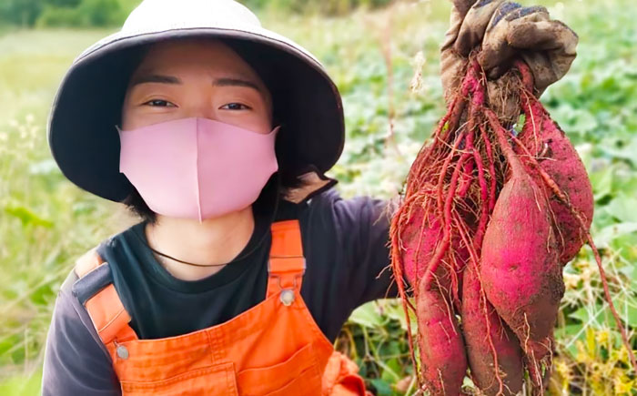 【2025年10月より発送】島の元気なさつまいも!ねっとり甘い『紅はるか』5kg 五島市/あわたに農園 [PGO002]