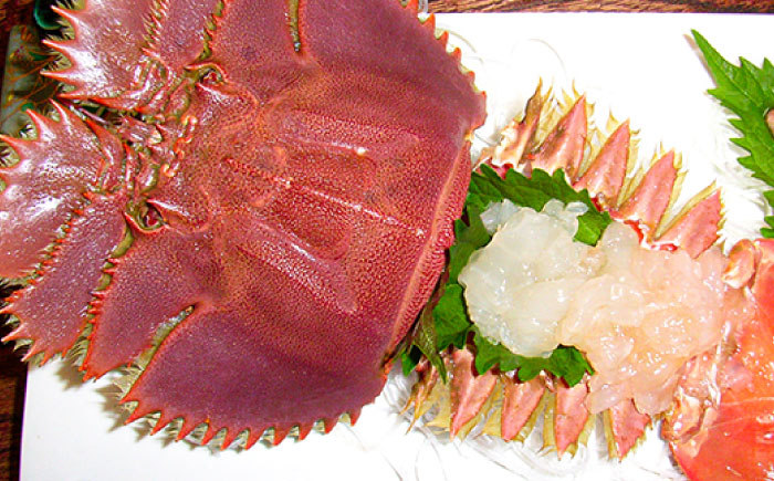 うちわ海老(活き) 500g（3～5尾）　五島市/真栄丸 [PGR003]