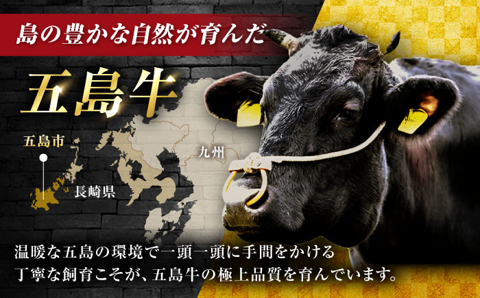 五島牛 牛すじ1kg（500g×2P）五島市/meat shop FUKU [PHF005]