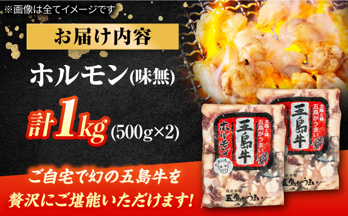 幻の五島牛ホルモン1kg（味付け無し） 五島市/ごとう農業協同組合[PAF030]  牛モツ モツ ホルモン 五島牛 和牛 長崎和牛 国産牛