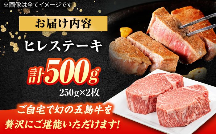 五島牛ヒレ 250g×2枚 牛肉 国産 希少 BBQ 牛肉 牛 ヒレ肉 五島市/ごとう農業協同組合 [PAF032]