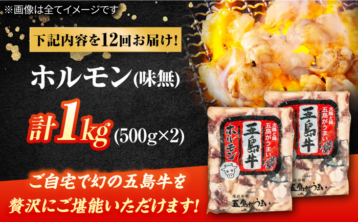 【12回定期便】幻の五島牛ホルモン 1kg 味無し 五島市/ごとう農業協同組合 [PAF093]