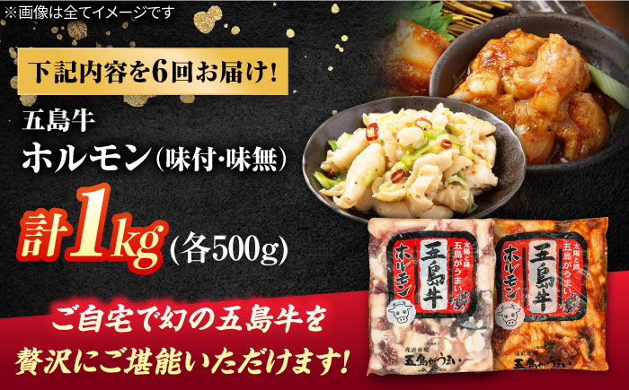 【6回定期便】幻の五島牛ホルモン 1kg 味付け有り・無しセット 五島市/ごとう農業協同組合 [PAF095]