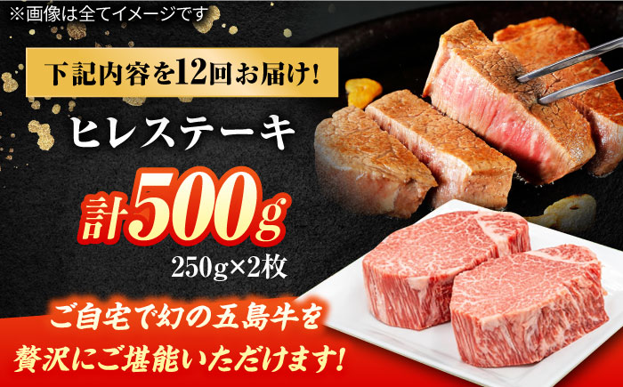 【12回定期便】五島牛 ヒレ 250g×2枚 五島市/ごとう農業協同組合 [PAF099]