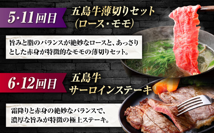 【12回定期便】お届け内容が毎月変わる五島牛定期便（2名向け）五島市/ごとう農業協同組合 [PAF104]
