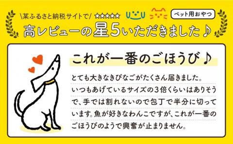 7日程度発送）【ペットフード】きびなごスティック16袋（生干し8袋/蒸干し8袋） 五島市/浜口水産[PAI008] 犬 おやつ 国産 きびなご キビナゴ 干物 魚 煮干し にぼし 健康 カルシウム いぬ スピード 最短 最速 発送詰合せ ドックフード ペットフード