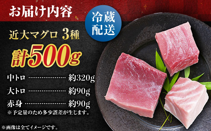 【冷蔵】長崎県五島産 近大マグロ約500g （大トロ/中トロ/赤身） 五島市/五島ヤマフ[PAK010]マグロ