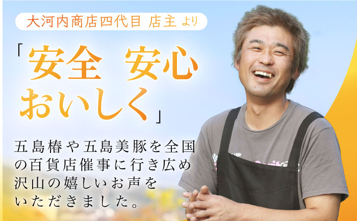 五島美豚 チャーシュー 400g 焼豚 切り落とし 小分け 豚肉 惣菜 冷凍 五島市 / 大河内商店 [PAQ023]