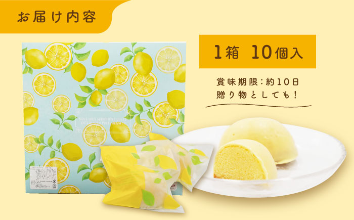 レモンケーキ 10個入【観光ビルはたなか】 [PAX021]