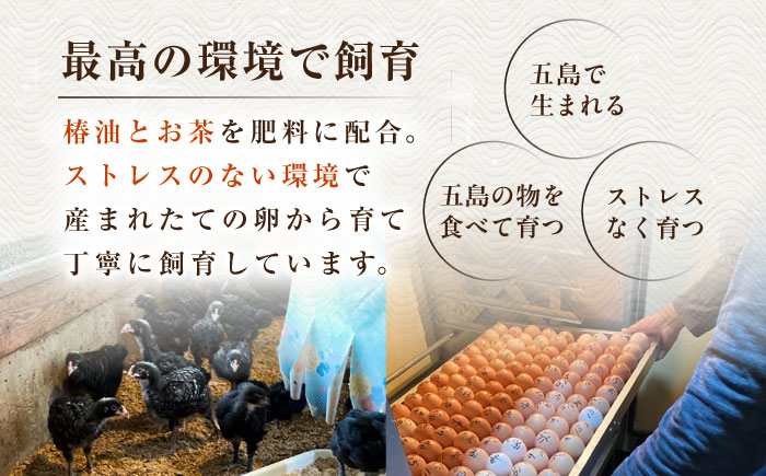 超新鮮 五島地鶏 しまさざなみ1羽分セット 約3kg 五島市/五島さざなみ農園 [PBE001]