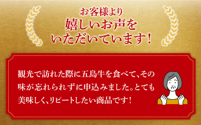 五島牛 サーロインステーキ500g（250g×2枚） 五島市/ニク勝[PBF001]  サーロイン ステーキ 肉  ジューシー 牛肉 五島牛 国産