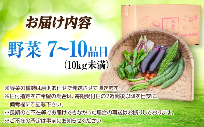 旬の野菜セット（7-10品目10kg未満）野菜 やさい 詰め合わせ セット五島市/やぁしゃ便 [PBG003]