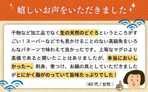 天然のどくろ（エラ・内臓処理済）アカムツ 鮮魚 魚介 刺身 五島市 / 五島FF [PBJ005]