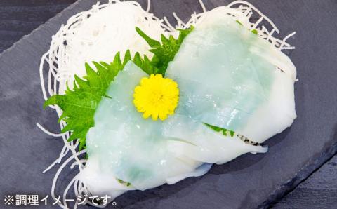 贅沢鮮魚セット3kg（エラ/内臓処理済） 五島市/五島FF[PBJ006] 冷蔵 鮮魚 魚介 刺身